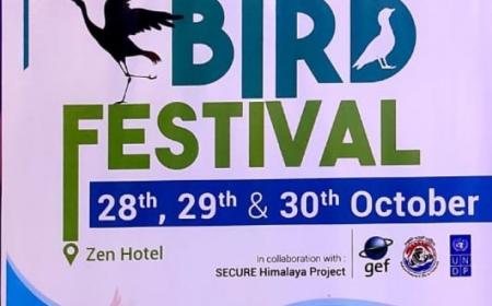 Ladakh Bird Festival