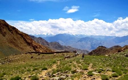 Ladakh Marathon 2022