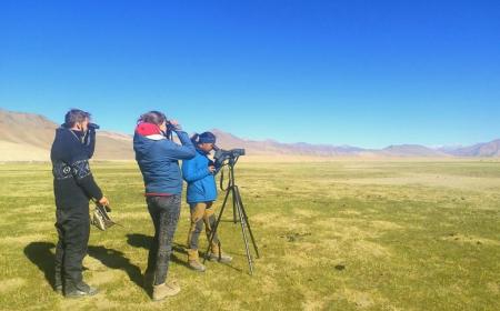 Ladakh Wildlife Update