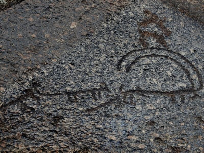 Petroglyph of ladakh