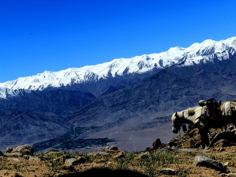 Sabu to Digar Trek via Nayok in Nubra Valley