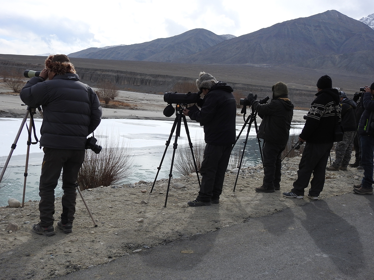 Wildlife Conservation and Birds Club of Ladakh (WCBCL) is founded by Lobzang Visuddha and friends. Ancient Tracks poineers in bird and wildlife conservation in Ladakh.