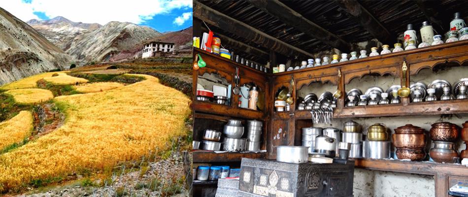 ladakh homestay, budget homestay ladakh, ladakh homestay packages