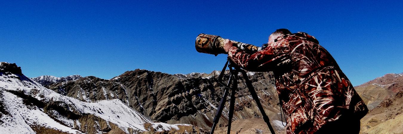 Winter Snow Leopard Tour with Ancient Tracks