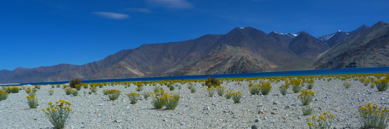 Photography Tour to Ladakh with Ancient Tracks